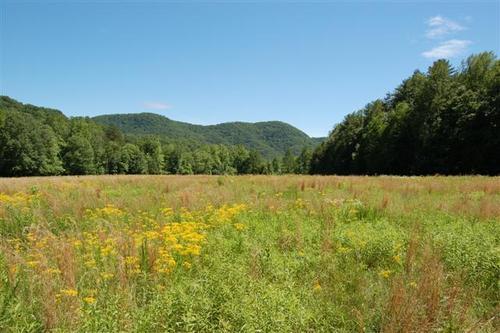 Repesenting landowners in successful transactions in Upstate South Carolina for over 20 years