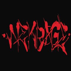 Nekrage's profile picture. Leader of The Oran'Thul, avid gamer, mmo enthusiast, and professional saltifier.