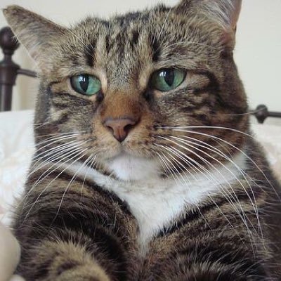 donyanya's profile picture. Co-founder of Stealth Startup
趣味 -アイスホッケー観戦  & ワイン