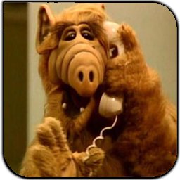 cryptoyann's profile picture. HODLer - #BTC