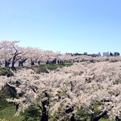 札幌 旭川