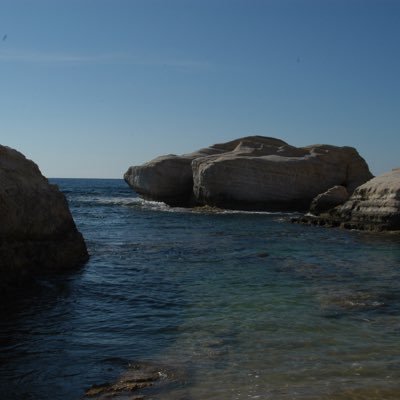 hornets66's profile picture. 