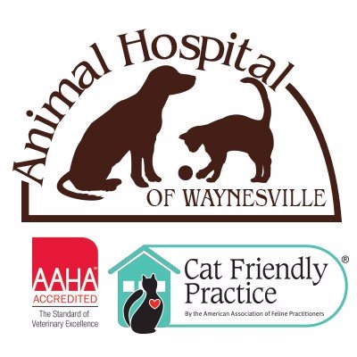 A full service animal hospital located in Western North Carolina, offering a complete range of veterinary services for all pets.