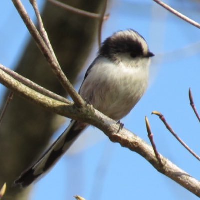 野の花や蝶々が好き。山歩きが好き。コーヒー淹れるのやパンやお菓子を焼くのも好き。美しい花を美しく撮りたくて写真勉強中。 OLYMPUS OM-D E-M5 Mark III &M.ZUIKO DIGITAL ED60mm f2.8 Macro