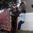 Arun bala - @Arunbal21119779 - Twitter