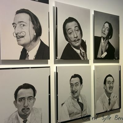 CestSylle's profile picture. Impro !