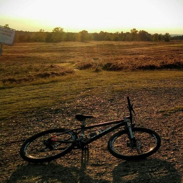 4li_M0's profile picture. 