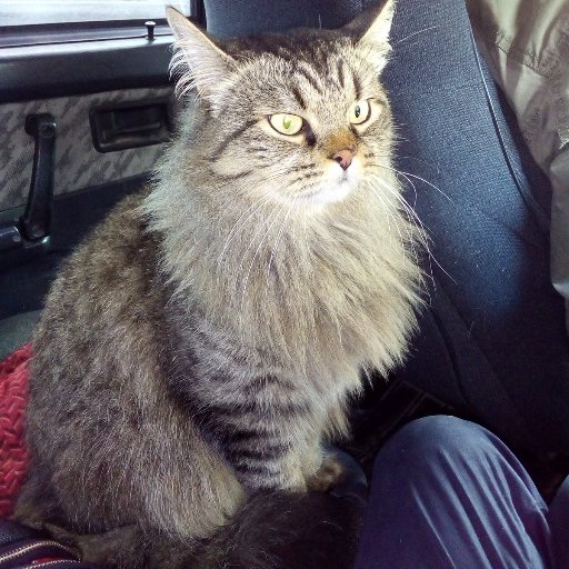 PopovvlAsbest's profile picture. 