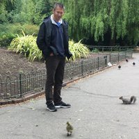 Maurice Elphick (@mauriceelphick) 's Twitter Profile Photo Maurice Elphick (@mauriceelphick) 's Twitter Profile Photo