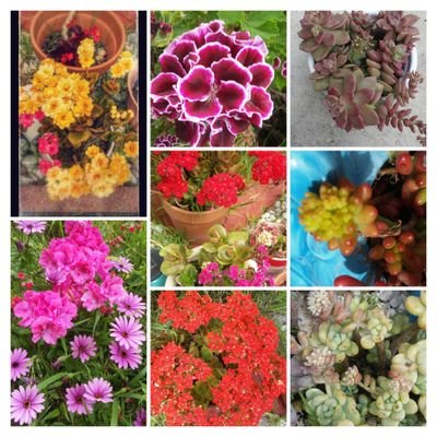 KITwLADL's profile picture. 