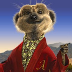 Meerkats are wise, Meerkats are brave. Meerkats eat scorpions, Meerkats eat crypto. #bitcoin #crypto #followDaMeerkat