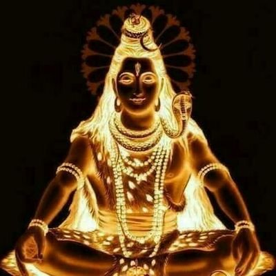 61d2e6b31edd498's profile picture. hi