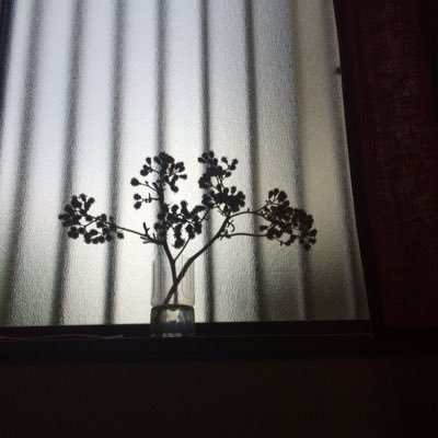 ぜんぜんしっかりしていない。看護師のようだ。心カテ内視鏡救急(三次)、小児、在宅、精神領域。どうぶつ、植物を愛でている。文鳥を愛している。不注意なところがある。裁縫レベル1。美術館、図書館、庭園が好き。なぜか心に引っかかった、訪問した先の方とのやりとりの断片をツイートしています。