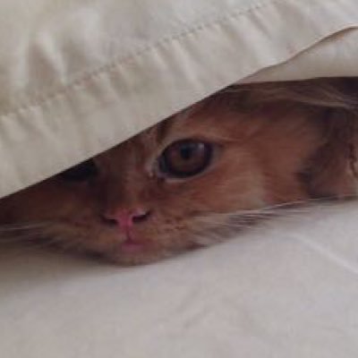 pamevcrespo's profile picture. 