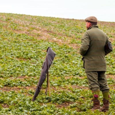 spaniel man. nothing better than out shooting with my dogs