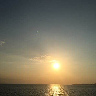 selimselim1923's profile picture. 