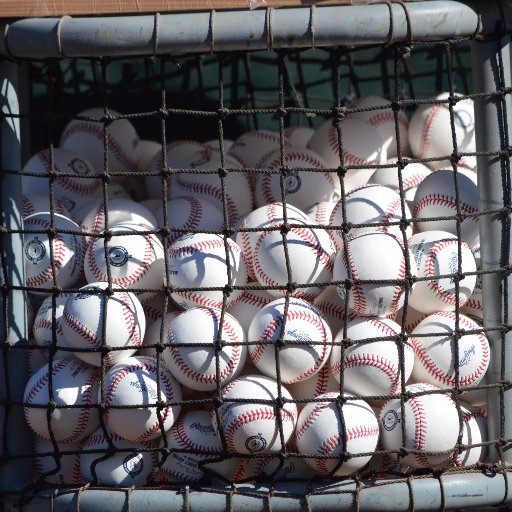 One Nation under baseball, with no bunts and dingers for all. The best view is from the dugout.