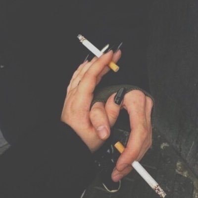 tinche06's profile picture. 🍉