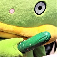 鷗( ｡'Θ')っカパル推してお (@slowfoodkamome) Twitter profile photo