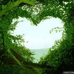 laubren2006's profile picture. Loving life with my awesome son!