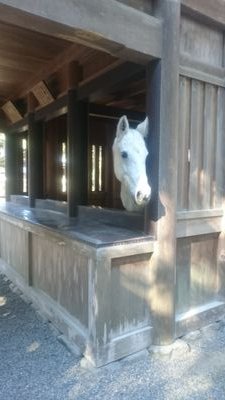 Arkas_0829's profile picture. 愛知、三重、岐阜で活動中！
個撮、秘密厳守で承ります。
詳しい条件は、DMで！