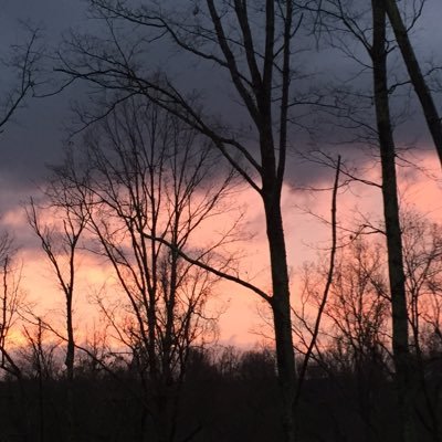 riverbendlady's profile picture. Former Innkeeper, weaver, enjoying life in the mountains as a hospitality consultant