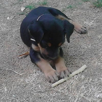 CarlitaVela's profile picture. ?