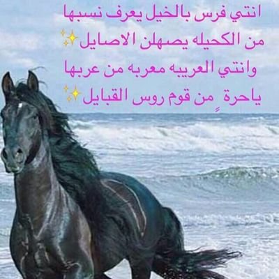 WtGgd's profile picture. ‏سبحان الله وبحمده سبحان الله العظيم