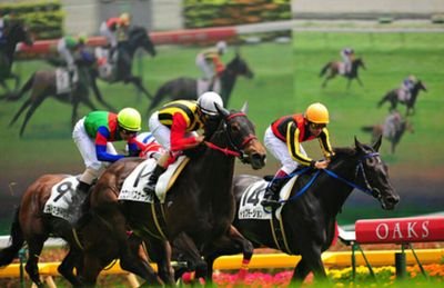 競馬は当たれば、気持ちが高ぶりますが、ハズレれば………一瞬の結果で、こんなにも違うものなのかと^-^;  ハズレても楽しめるように取り組まないと競馬が辛くなるだけです。まず楽しむことを優先して、無理のないように、ついでに馬券を買う程度で(’-’*)♪