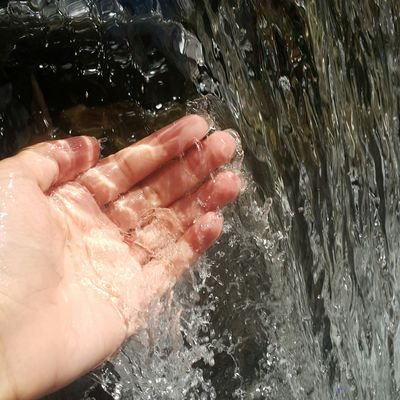 garrisonian. punjabian. fastian. engineer to be. army brat. cricket lover.
Ya Ali madad.