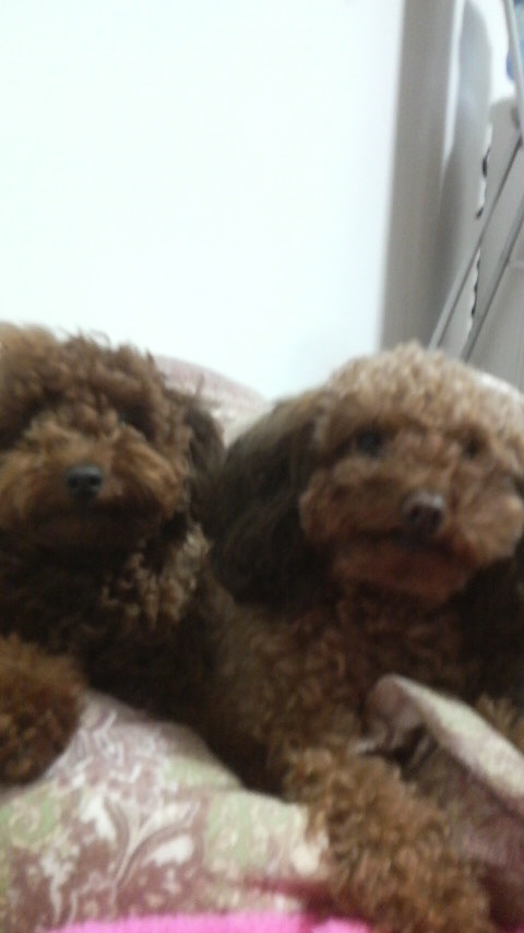 hironandesukedo's profile picture. なかなか 良いことってないよねー   hiroです  宜しく