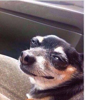 IL1DON's profile picture. Haha fuck off.