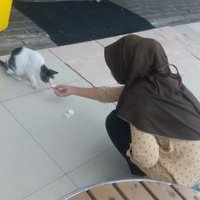 dinda (@desitwgmailcom1) 's Twitter Profile