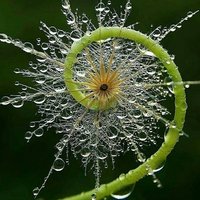 Angela R (@drageangela) 's Twitter Profile Photo