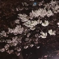 akira (@akira_1970) Twitter profile photo