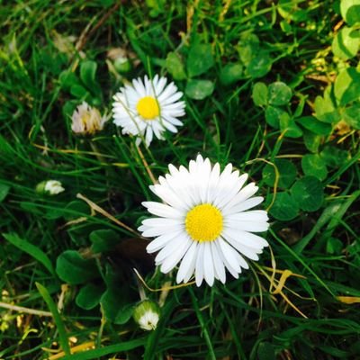 Nargresz1a's profile picture. 