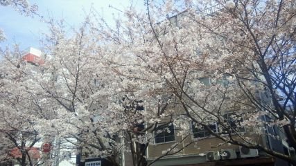 Gcq7ly5ibljZuwp's profile picture. よろしくお願いします