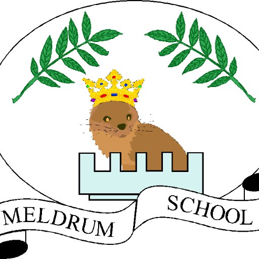 MeldrumSchool Profile Picture