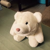 がんもパパ (@bianchi380) 's Twitter Profile