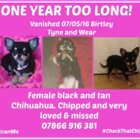 HelpFindPrincess (@find_princess) 's Twitter Profile Photo