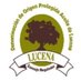 @DOAceitedeLucena (@doaceitelucena) Twitter profile photo @DOAceitedeLucena (@doaceitelucena) Twitter profile photo