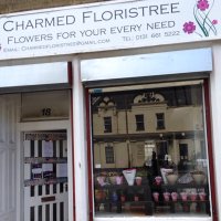 Charmed Floristree (@cfloristree) 's Twitter Profile