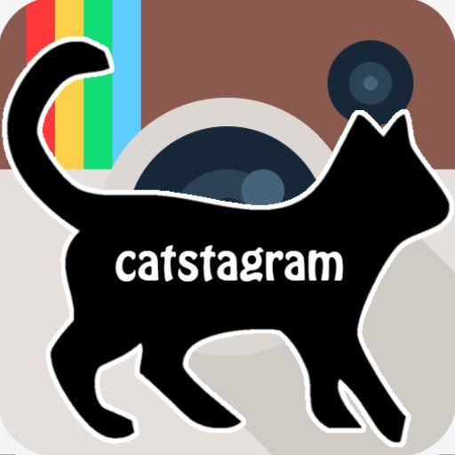 catsfromworld's profile picture. çok havadar