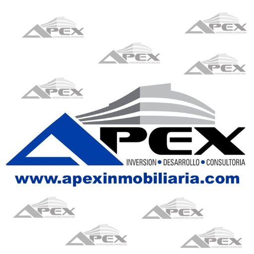 Servicio de consultoria asesoria y gestión para la comercialización y ventas de bienes raíces, inversion nacional e internacional. 
@apexinmobiliaria.ca