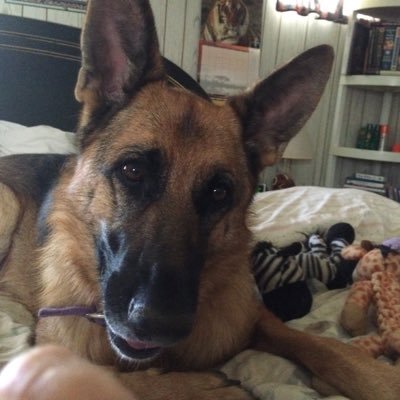 amy_coachthiede's profile picture. 