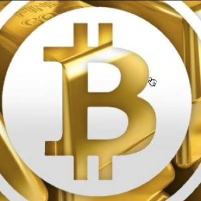 Bitcoin - The New Gold Rush