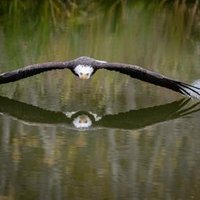 Henri Sader (@intouchwit) 's Twitter Profile