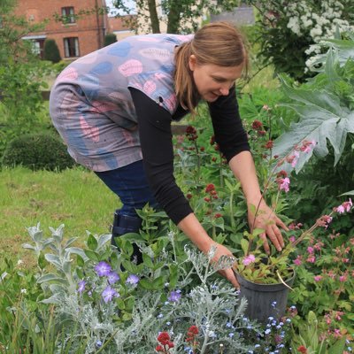 Grateful escapee from the corporate world, growing plants #peatfree to sell from my garden gate. Nature spotting adventures with my dog Milo