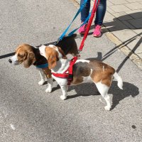 Markus Newcastle (@newcastlemarkus) Twitter profile photo