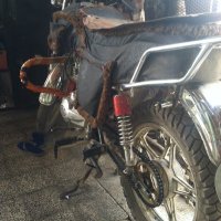 احب وطني رغم اللصوص (@vlkgu) Twitter profile photo